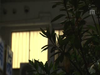 MIDV-795 绝对主观!一个说脏话的打手枪诱惑护士,让你想看和触诊一个大阴茎的病人,20次射精,一个放荡的护士 Miu Nakamura - 仲村美羽 MIDV-795 绝对主观!一个说脏话的打手枪诱惑护士,让你想看和触诊一个大阴茎的病人,20次射精,一个放荡的护士 Miu Nakamura - 仲村美羽