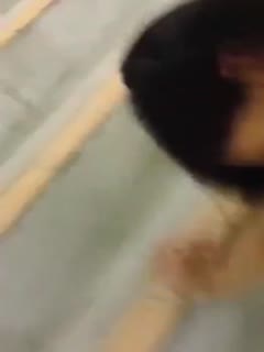 广东某高校学生情侣分手后男子把在楼梯啪啪视频曝光 海报
