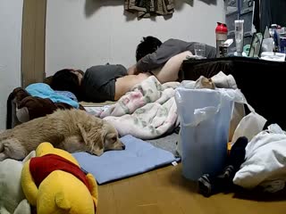 民宅家用摄像头被黑TP老公睡醒了起身抚摸还在睡梦中的媳妇扒掉内裤又舔又抠终于把她弄醒激情互搞 海报