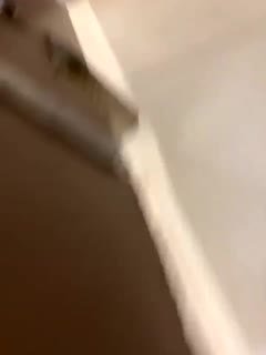 这女孩的声音也太甜了，边嘘嘘边讨论王者荣耀，安琪拉和小鲁班 好搞笑哦 海报