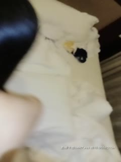 2020.2.27【惊涛岁月-小李沁】新晋美女跟两男驱车到酒店玩3P，身材苗条细腰翘臀，鲍鱼粉嫩超多水，穿衣良家范，脱了变淫娃，掰穴特写淫靡刺激 海报