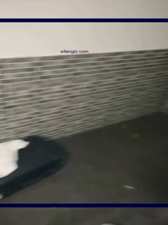 场面过于淫乱 3个刚成年的小美女和一群小鲜肉群P 海报