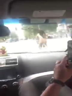 天气实在是太热了，熟女赤裸裸踩着单车就出街了...开小车的吹着空调在车内笑，唉 海报