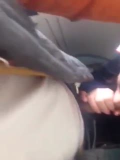 勾搭火车列车员到厕所，掏出大鸡巴让她口，没想到口活还挺好舒服的想喊出来，列车员嘘外面有人刺激！ 海报