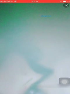 坑爹的男按摩师偷拍【私处保健直播】肤色白嫩逼逼粉嫩多毛的妹子没按几下就受不了求草了 海报
