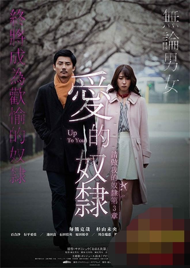 爱的奴隶 高清修复 海报