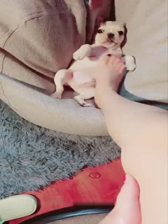 AI图图直播大秀 身材丰满 揉奶插穴 十分淫荡 AI图图直播大秀 身材丰满 揉奶插穴 十分淫荡
