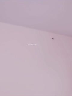 【19岁女孩】江苏少女白虎一线天 超大奶✨✨✨白嫩肥美，露脸，谁能干上这逼就爽翻了(3) 海报