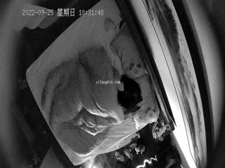 2022-9-25流出❤️新台酒店安防摄像头上帝视角偷拍热恋情侣休息开房日夜草不停 海报
