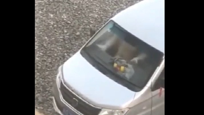 光天化日搞车震以为人家看不到.. 光天化日搞车震以为人家看不到..